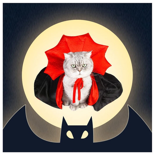 Pet Cat Vampire Costume