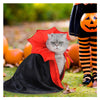 Pet Cat Vampire Costume